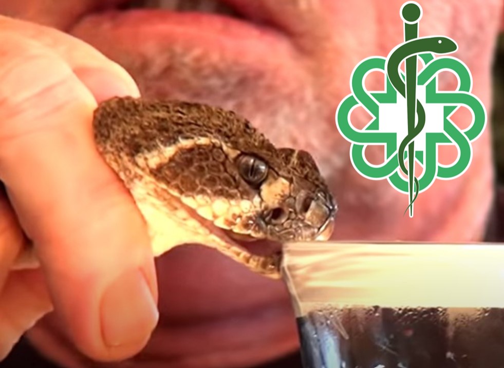 Celtic logo with milking